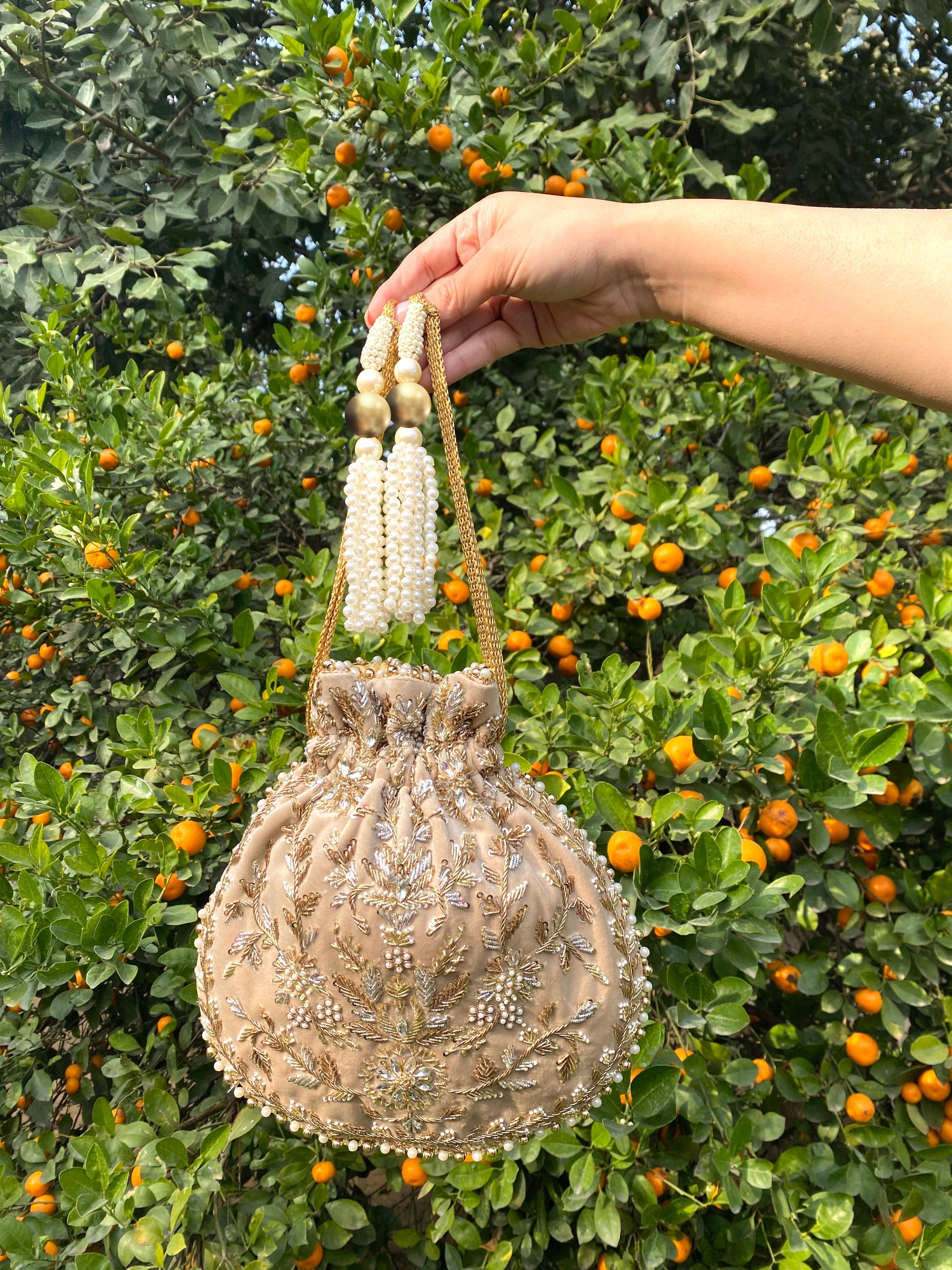 Amira Zardozi Bag